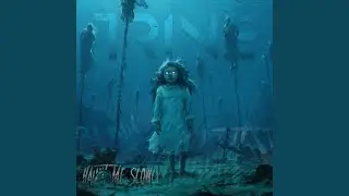 The Fight