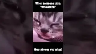 Who Asked Cat? 