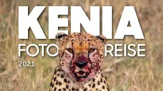 Kenia: Fotosafari durch den Samburu Nationalpark, das Solio Game Reserve, Masai Mara und Amboseli