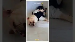 громко не смейся, соседи еще спят.