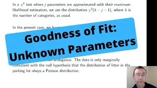 Goodness of Fit Testing with Unknown Parameters