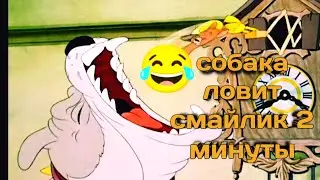 собака ловит смайлик 2 минуты досмотрите до конца и другие ролики которые будут