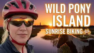 SPECTACULAR SUNRISE Wild Pony Island!