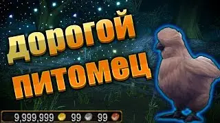 Питомец 