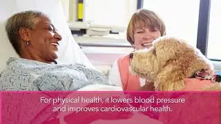 Pet Therapy
