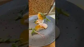 Наша сила в яйцах! Пашот 😂👍 