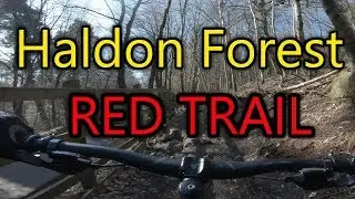 *Haldon Forest* Mountain Biking *Red* Trail