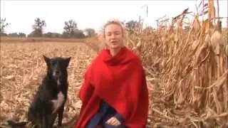 eKodama wideoblog - Odcinek 01 - Mity o domach z kostek słomy - STRAWBALE
