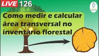 #LIVE 126 - Área basal no inventário florestal: tutorial completo