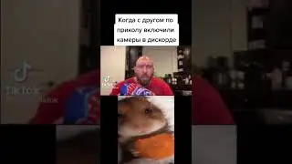 шутки про дискорд до смерти