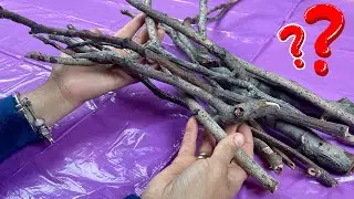 Look What I Made With Tree Branches I Collected From the Garden! DIY