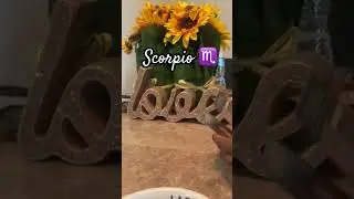 Scorpio Who is This Person You Walked Away From?