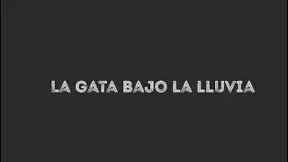 Rocio Durcal - La gata bajo la lluvia
