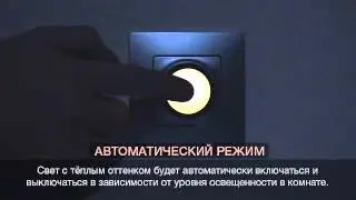 Ночник с датчиком освещенности Legrand. Можно купить в нашем интернет-магазине.