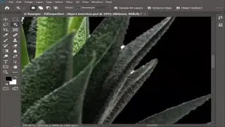 HOW TO USE OBJECT SELECTION TOOL IN PHOTOSHOP CC