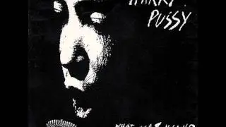 Harry Pussy - Untitled #13