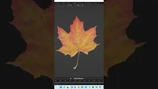 shorts quick leaf modeling in blender|blender beginners tutorial 
