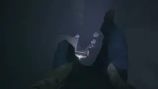 Resident Evil Village Synchronize by SWARM editing practice