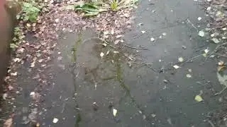 #заброшка