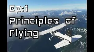 Principle of flying || Pitch, Roll and Yaw (Basics of Flying : Ep 1) by T4U Tutorials