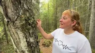 Экскурсия по северным каньонам заповедной реки Сотки