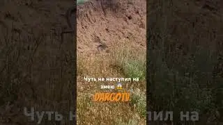Чуть на змею не наступил 😱