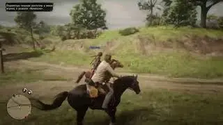 Red Dead Online -- Mutual understanding