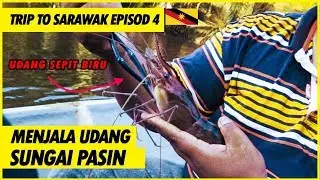UDANG SEPIT BIRU SUNGAI PASIN |  EPISOD 4 JELAJAH RUMAH PANJANG SARAWAK