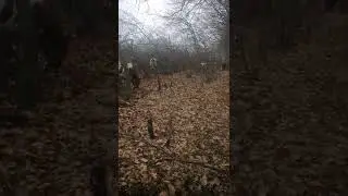 Эти милые и забавные домашние животные попробуйте не улыбаться смотря на этих милых коров