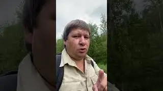 Самолеты полетели на Киев. Пророческий сон.