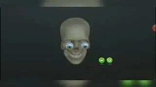 Study Human Anatomy, The skull and everything inside, the brain parts, eyes and every minute details
