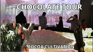 Lindt Chocolate Factory Tour: Hidden World Of Cocoa Cultivation