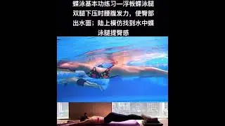 蝶泳腰路上动作，butterfly swimming tips