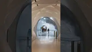 Meseum Of The Future