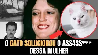 O gato solucionou o mistério