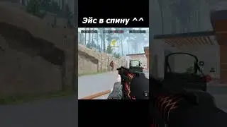 Warface Эйс в спину  