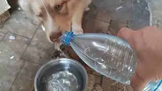 Жара..