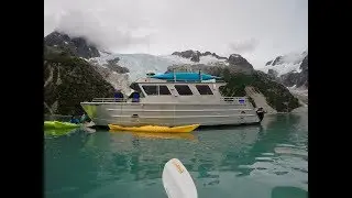 Kenai Fjords Kayak Trip with Liquid Adventures