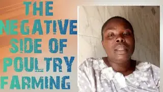 THE NEGATIVE SIDE OF POULTRY FARMING