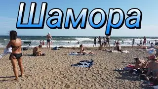Шамора 2022 (неизданное)