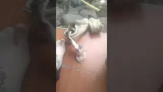 Bau kaos kaki 2