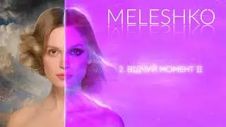 MELESHKO - Відчуй момент ІІ (official audio)
