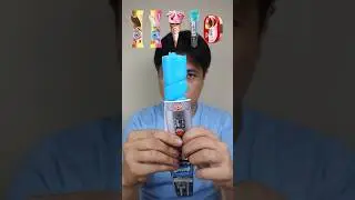 EATING VARIOUS WALLS ICE CREAM 