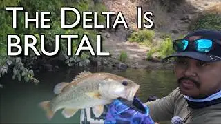 It’s Been a Few Years. | CA, Delta
