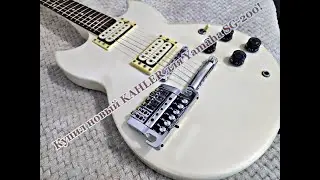 Распаковка KAHLER для Yamaha SG-200