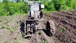 🔥Окучка картошки по новому! 🔥МОТОБЛОК КАК МОТОСАПА! 😲