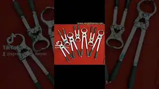 Burdizzo Castration || 