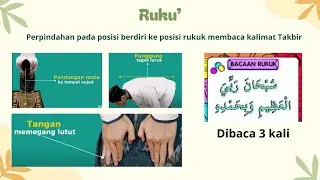 Gerakan dan Bacaan Sholat ( Tata Cara Sholat )