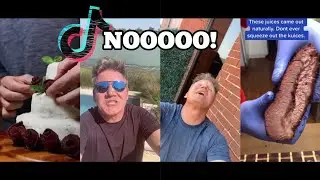 Gordon Ramsay Takes on TikTok Chefs