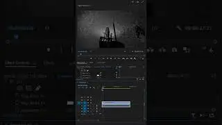 Black & White Video Effect | Best Adobe Premiere Pro Effects